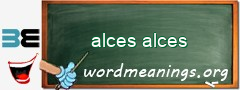 WordMeaning blackboard for alces alces